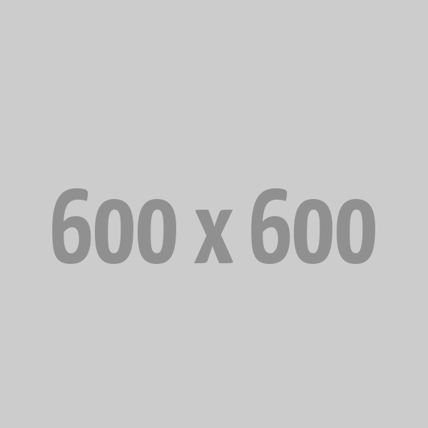 Managed SEO Services